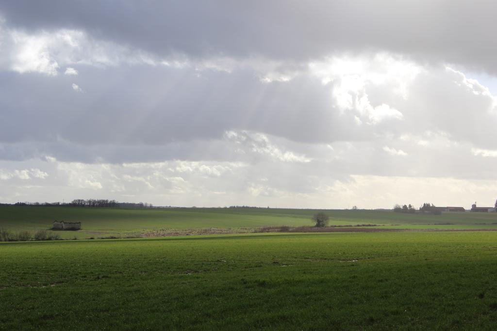 Gites A L'Ombre Des Chenes Châteauvieux Екстериор снимка